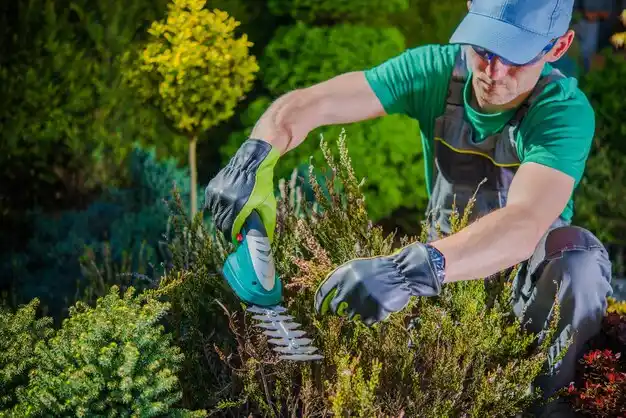 landscaping services Mansfield